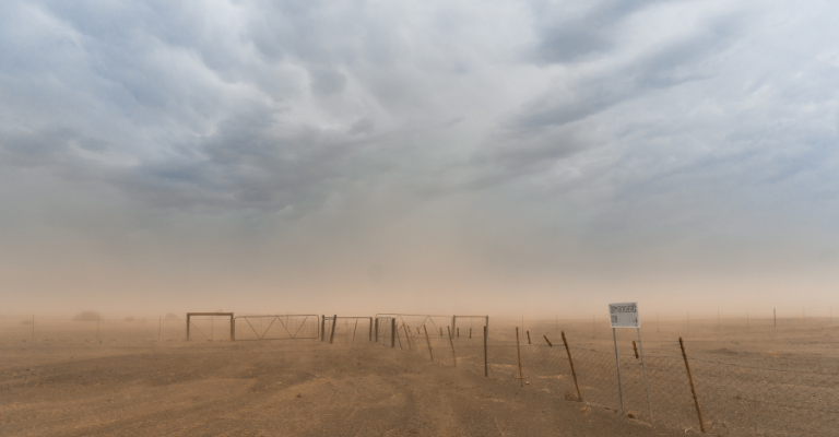 ¿Cómo manejar durante tormentas de polvo en Arizona?